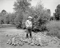 Detroit circa 1900. "Grosse Ile duck farm -- feeding the ducklings." 8x10 inch dry plate glass negative, Detroit Publishing Company. View full size.