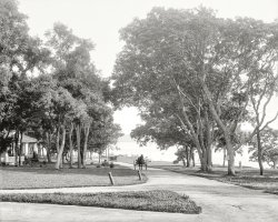 Circa 1904. "Sylvester Avenue, Manhanset Manor, Shelter Island, N.Y." 8x10 inch dry plate glass negative, Detroit Photographic Company. View full size.