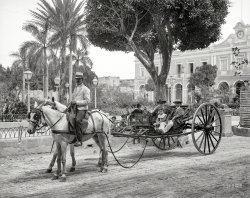 Havana circa 1904. "A Cuban volanta." 8x10 inch dry plate glass negative, Detroit Photographic Company. View full size.
