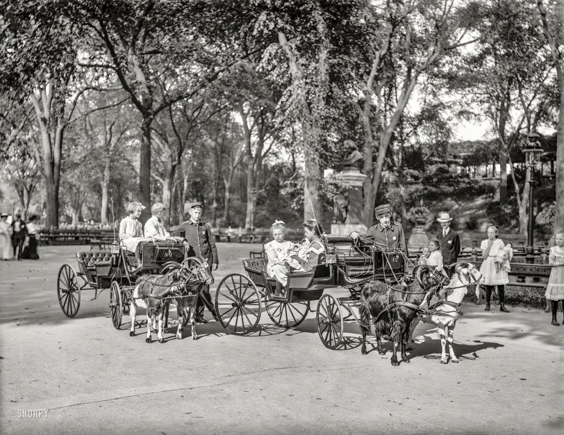 Kids These Days: 1904 New York, 1904. "Goat carriages in Central Park." 8x10 inch dry plate glass negative, Detroit Publishing Company. View full size.