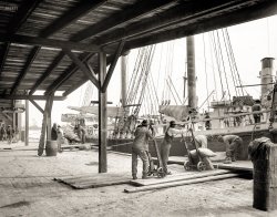 Savannah, Georgia, circa 1906. "Loading a phosphate schooner." 8x10 inch dry plate glass negative, Detroit Publishing Company. View full size.