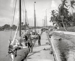 Circa 1905. "On the Miami River at Miami, Fla." 8x10 inch dry plate glass negative, Detroit Publishing Company. View full size.