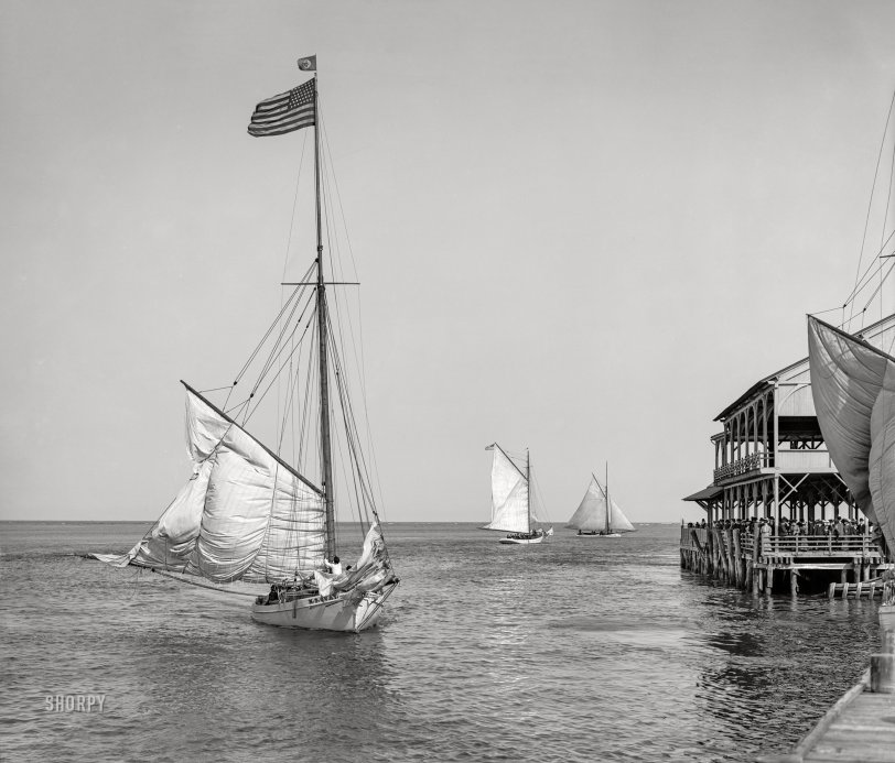 M.S. Quay, Meet A.C. Pier: 1905 Atlantic City, New Jersey, circa 1905. "A few sailboats off the pier." 8x10 inch dry plate glass negative, Detroit Publishing Company. View full size.