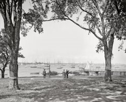 Circa 1906. "Glimpse of harbor. Marblehead, Massachusetts." 8x10 inch dry plate glass negative, Detroit Publishing Company. View full size.