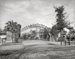 New Orleans circa 1906. "Audubon Place." A private, gated street developed in the 1890s next to Tulane University. 8x10 inch glass negative, Detroit Publishing Company. View full size.