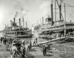 Vicksburg circa 1906. "A Mississippi River landing." The sidewheeler Belle of the Bends taking on cargo alongside the sternwheeler Belle of Calhoun. 8x10 inch dry plate glass negative, Detroit Publishing Company. View full size.