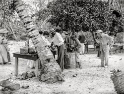 1906. "Eating cocoanuts -- Nassau, Bahama Islands, British West Indies." 8x10 inch dry plate glass negative, Detroit Publishing Company. View full size.