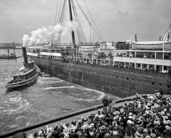 New York, 1903. "R.M.S. Majestic -- outward bound farewells." 8x10 inch dry plate glass negative, Detroit Photographic Company. View full size.