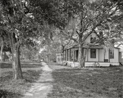 Circa 1905. "Ormond, Florida -- Cottage at Santa Lucia Plantation." 8x10 inch dry plate glass negative by William Henry Jackson, Detroit Photographic Company. View full size.