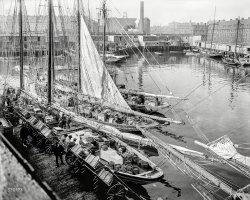 Circa 1903. "Unloading fish at 'T' wharf, Boston, Mass." 8x10 inch dry plate glass negative, Detroit Publishing Company. View full size.
