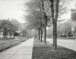 Indianapolis circa 1904. "North Delaware Street." Our third visit to this leafy enclave. 8x10 inch glass negative, Detroit Photographic Co. View full size.