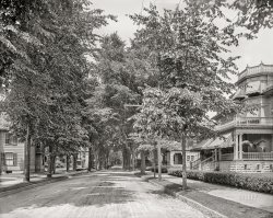 North Adams, Massachusetts, circa 1907. "Church Street looking west." At right, potted palms and lightbulbs! 8x10 inch dry plate glass negative, Detroit Publishing Company. View full size.