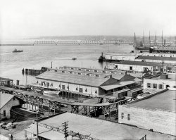 Circa 1910. "Jacksonville, Florida, and St. Johns River." Note the sign for the Dixieland Park ferry. 8x10 glass negative, Detroit Publishing Co. View full size.