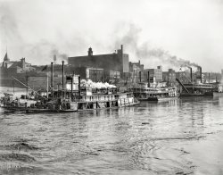 &nbsp; &nbsp; &nbsp; &nbsp; The sternwheelers Graham, Harry Lee and James Lee.
Memphis, Tennessee, circa 1908. "Mississippi River levee from the ferry." 8x10 inch dry plate glass negative, Detroit Publishing Company. View full size.