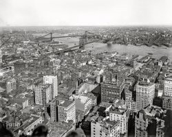 New York circa 1910. "East River bridges from the Singer Tower" -- the Brooklyn, Manhattan and Williamsburg spans. 8x10 inch glass negative, Detroit Publishing Company. View full size.