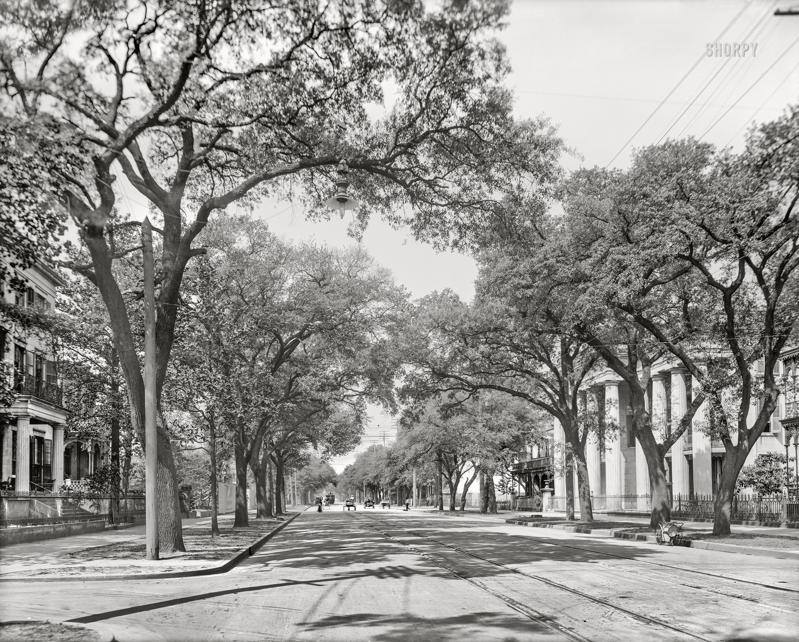 Mobile, Alabama, circa 1906. "Government Street, looking west." Our second look in as many weeks at this tree-lined thoroughfare. 8x10 inch dry plate glass negative.