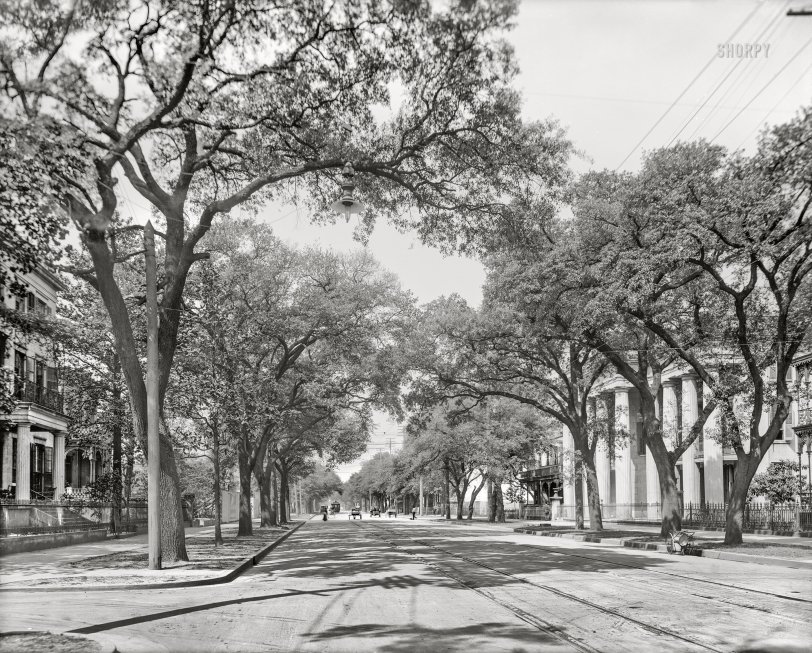 Bough Wow: 1906 Mobile, Alabama, circa 1906. "Government Street, looking west." Our second look in as many weeks at this tree-lined thoroughfare. 8x10 inch dry plate glass negative. View full size.
