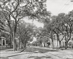 Mobile, Alabama, circa 1906. "Government Street, looking west." Our second look in as many weeks at this tree-lined thoroughfare. 8x10 inch dry plate glass negative. View full size.