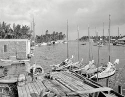 Miami circa 1910. "Mouth of the Miami River and Biscayne Bay." 8x10 inch dry plate glass negative, Detroit Publishing Company. View full size.