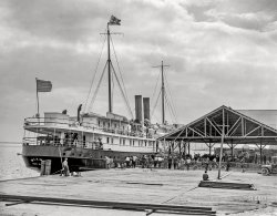 Miami, Florida, circa 1910. "Peninsular & Occidental steamer Miami off for Nassau, W.I." 8x10 inch dry plate glass negative, Detroit Publishing Company. View full size.