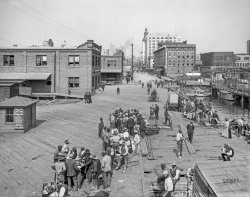 The St. Johns River circa 1910. "Lunch hour on the levee -- Jacksonville, Florida." 8x10 inch dry plate glass negative, Detroit Publishing Company. View full size.