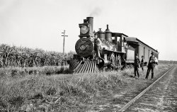 Circa 1897. "Cane fields in Louisiana." Glass negative by William Henry Jackson. View full size.