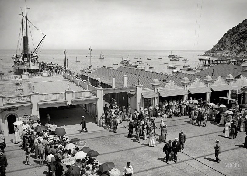 Fun With Tuna: 1915 August 1915. "Steamship ticket office at pier, Avalon, Catalina Island, California." 5x7 inch dry plate glass negative, Detroit Publishing Company. View full size.