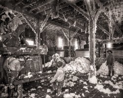 October 1890. "Mississippi cotton gin at Dahomey." Which way to the break room? 8x10 inch dry plate glass transparency by William Henry Jackson. View full size.
