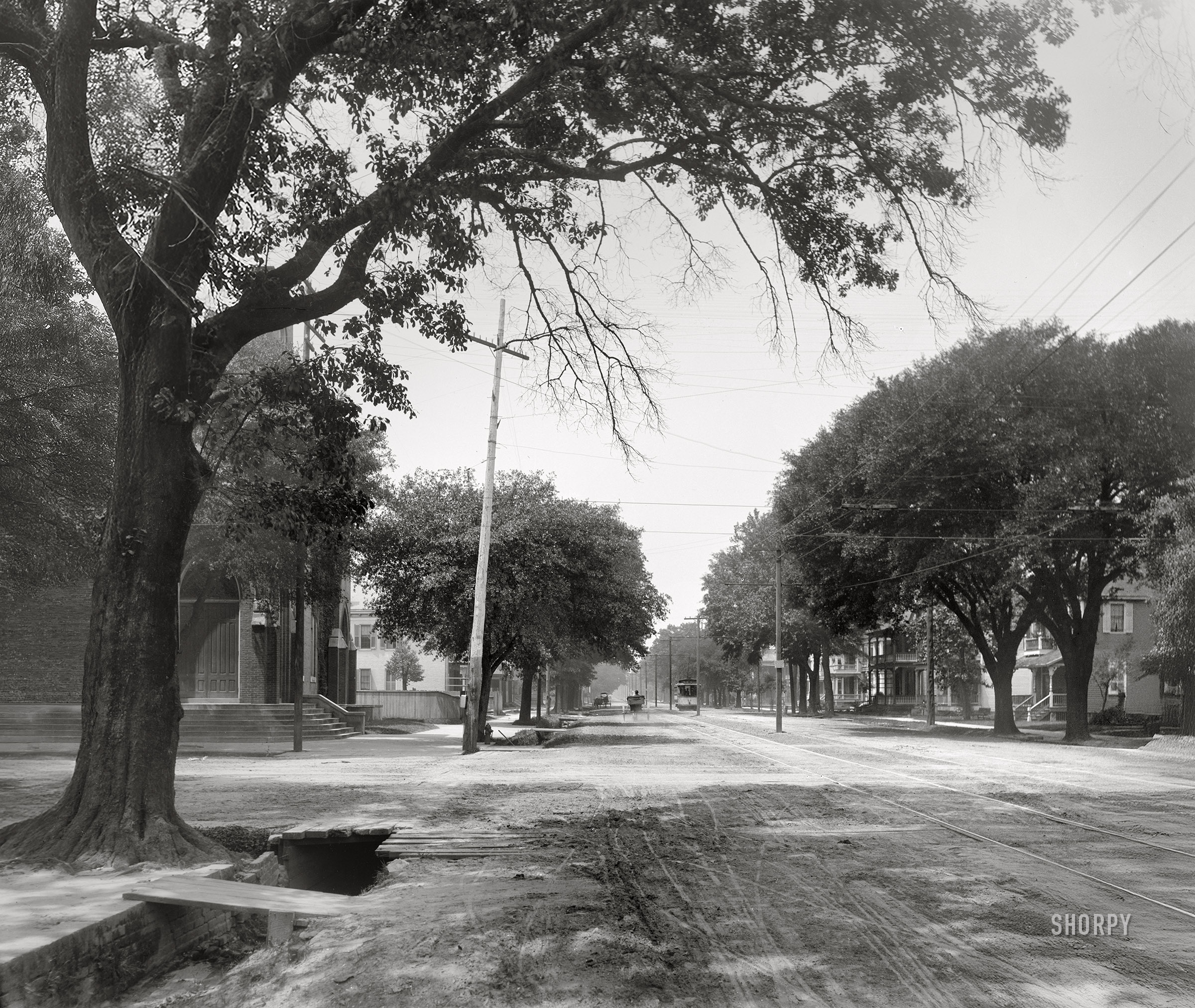 Mobile, Alabama, circa 1900. "Government Street." Where literal pitfalls await the unwary. 8x10 inch dry plate glass negative, Detroit Photographic Company.