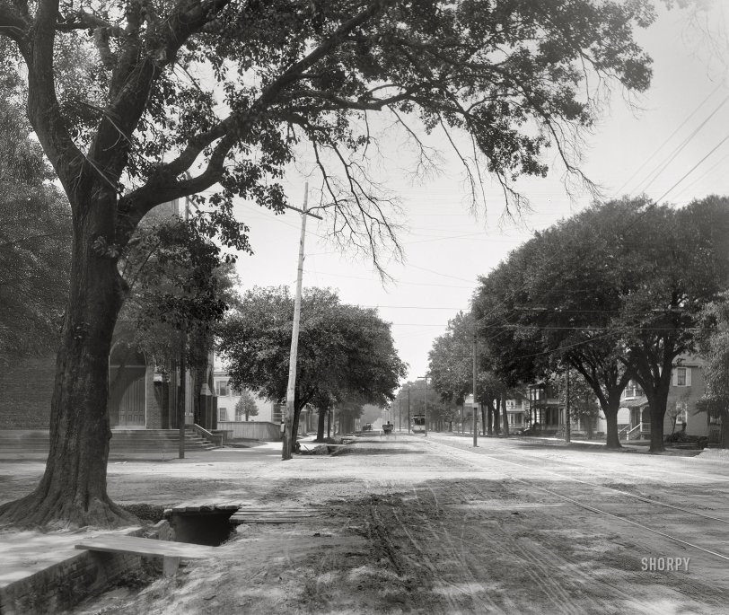 Government Street: 1900 Mobile, Alabama, circa 1900. "Government Street." Where literal pitfalls await the unwary. 8x10 inch dry plate glass negative, Detroit Photographic Company. View full size.