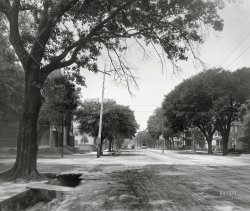 Mobile, Alabama, circa 1900. "Government Street." Where literal pitfalls await the unwary. 8x10 inch dry plate glass negative, Detroit Photographic Company. View full size.