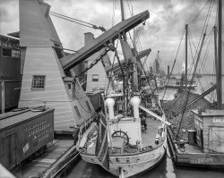 Mobile, Alabama, circa 1910. "Unloading bananas." Tropical Refrigerator Express reefers at the ready. 8x10 inch glass negative, Detroit Publishing Company. View full size.