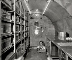 From the Library of Congress archive comes this orphan image, circa 1953, with no caption or other identifying information. What could this young man who looks like one of Captain Video's ranger cadets be up to? View full size.