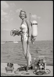 February 2, 1954. "Actress Hope Lange and diving instructor Chuck Diercksmeier diving off the Florida coast; Lange posed on seawall with an assortment of scuba equipment." 35mm negative from the Look magazine assignment "Everybody's Going Underwater." View full size.