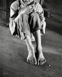 Summer 1936. "William Tengle, son of cotton sharecropper. Near Moundville, Hale County, Alabama." 35mm nitrate negative by Walker Evans for the Farm Security Administration. View full size.