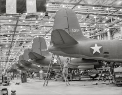 October 1942. "Long lines of A-20 attack bombers roll ceaselessly, night and day, through the Douglas Aircraft plant at Long Beach, California. The A-20 is used by the American Air Force and the Royal Air Force (RAF) for hedge-hopping and strafing operations against ground troops and installations -- also for reconnaissance work and night fighting. It is armed for its several duties with light and heavy caliber guns in varying combinations." 4x5 acetate negative by Alfred Palmer for the Office of War Information. View full size.