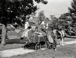 October 1942. "Manpower, junior size. The charge of the scrap brigade in Roanoke, Virginia, includes such methods of collecting as this pony cart. The patriotic and energetic youngsters of the town are making an all-out effort to corner every available piece of scrap in the city, so that their soldier and sailor brothers will have the shells, guns, and tanks with which to beat the Axis." 4x5 inch nitrate negative by Valentino Sarra for the Office of War Information. View full size.