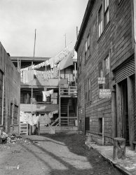 February 1936. "Mission District. Slums of San Francisco, California." 4x5 negative by Dorothea Lange for the Farm Security Administration. View full size.