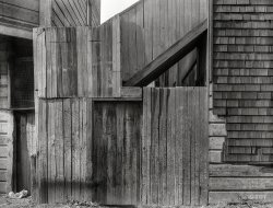 February 1936. "Mission District firetrap. San Francisco, California." 4x5 acetate negative by Dorothea Lange for the Resettlement Administration. View full size.