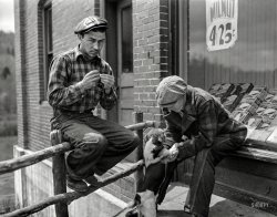 September 1942. "Park County, Montana. Oat harvest." Medium format negative by Russell Lee for the Office of War Information. View full size.
