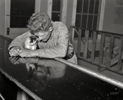 September 1937. "Lumberjack at the bar on Saturday night. Craigville, Minnesota." Photo by Russell Lee for the Farm Security Administration. View full size.