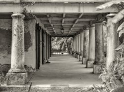September 1938. "Verandah of plantation house near New Orleans, Louisiana." Medium format negative by Russell Lee. View full size.