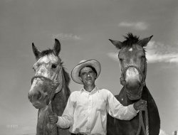 September 1939. "Ernest W. Kirk Jr., whose team of mules was bought with a Farm Security Administration loan. Near Ordway, Colorado." Medium format negative by Russell Lee for the Farm Security Administration. View full size.