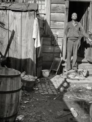 November 1935. "Backyard in Northwest Washington, D.C." Medium format negative by Carl Mydans for the Resettlement Administration. View full size.