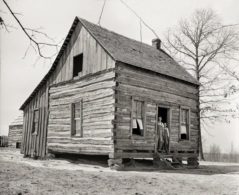 Cabin Boys: 1936 March 1936. "One-room house on Coalins Forest and Game Reservation between the Tennessee and Cumberland rivers in Kentucky." Medium format nitrate negative by Carl Mydans for the Resettlement Administration. View full size.