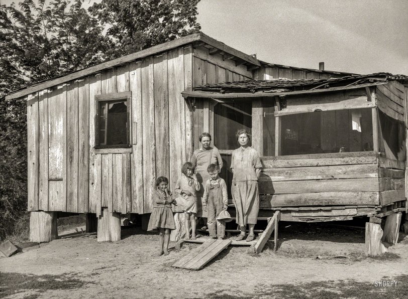 Sharecropper Shack: 1936 May 1936. "Sharecropper's family in Mississippi County, Missouri. Typical sharecropper shack with crop entirely surrounding house." Medium format nitrate negative by Carl Mydans for the Resettlement Administration. View full size.