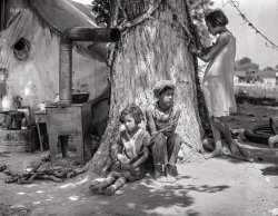 June 1935. "Migrant agricultural workers in California. Motherless migrant children. They work in the cotton." Medium format nitrate negative by Dorothea Lange for the Farm Security Administration. View full size.
