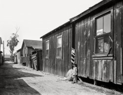 February 1936. "Mexican quarter of Los Angeles. One-quarter mile from City Hall. Area has been condemned and will be torn down shortly to make space for the new Union Railroad station. Average rent is eight dollars." 4x5 inch nitrate negative by Dorothea Lange for the Resettlement Administration. View full size.