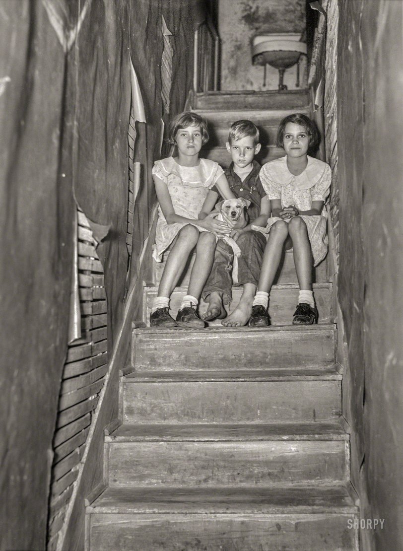 The Sink at the Top of the Stairs: 1937 January 1937. "Children of migrant citrus worker who lives in a rundown apartment house. The sink at the head of the stairs is the only running water in the house. Winter Haven, Florida." Photo by Arthur Rothstein. View full size.