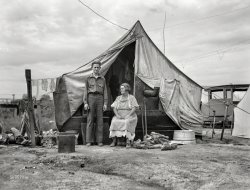 November 1936. "Squatter camp on the flat where families live during the orange picking season near Porterville. Part of migrant family of five, native Californians, waiting for work in the groves." Photo by Dorothea Lange for the Farm Security Administration. View full size.